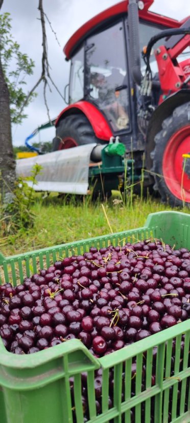 Karl LIQ Višňovka Svatoňská  24% 0,2l