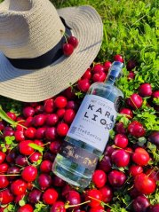Karl LIQ Třešňovice z odrůdy Kordia s ptačinkou 48% 0,5l